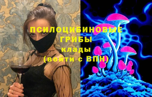 наркотики Алексин