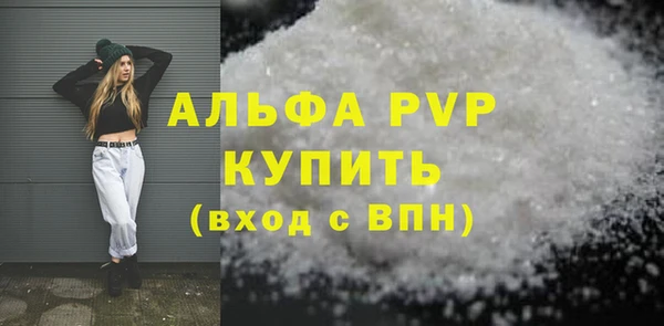 крисы Алзамай