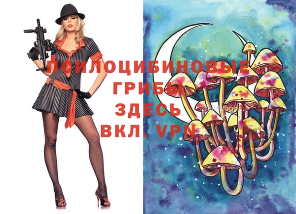 крисы Алзамай