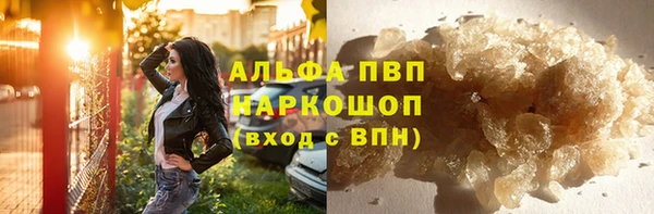 крисы Алзамай